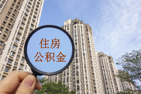 沧州怎么取住房住房公积金（取住房公积金方法）